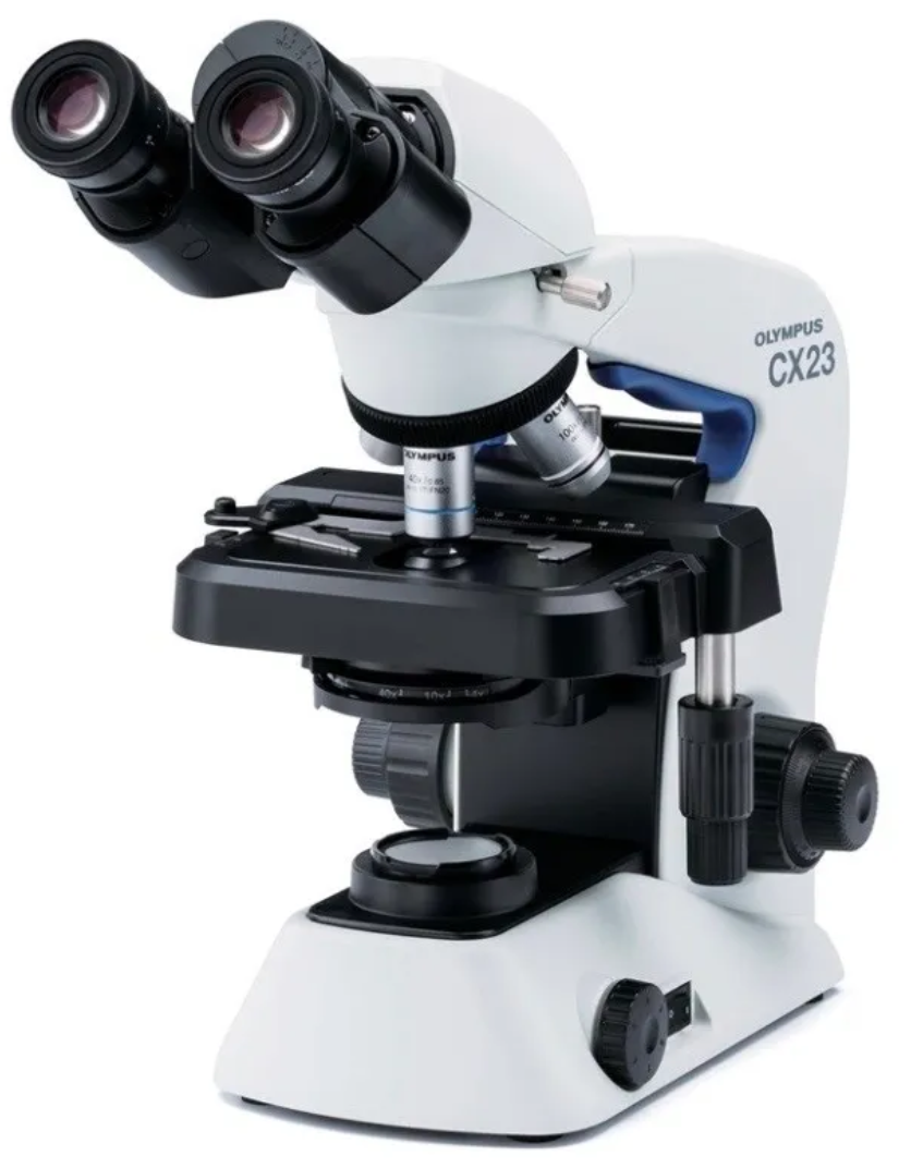 Kính hiển vi 2 mắt